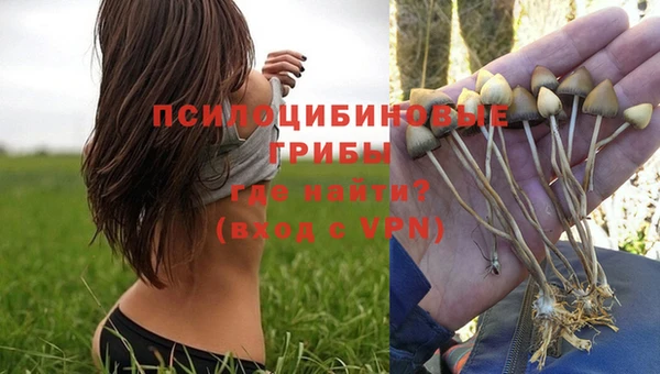 трава Абаза