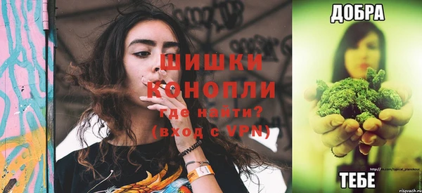 тгк Няндома