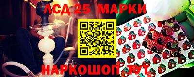 прущие грибы Свободный
