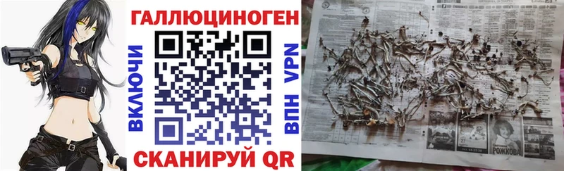 darknet телеграм  Янаул  Псилоцибиновые грибы MAGIC MUSHROOMS 