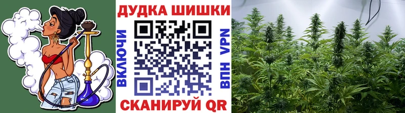 как найти закладки  Янаул  Конопля SATIVA & INDICA 